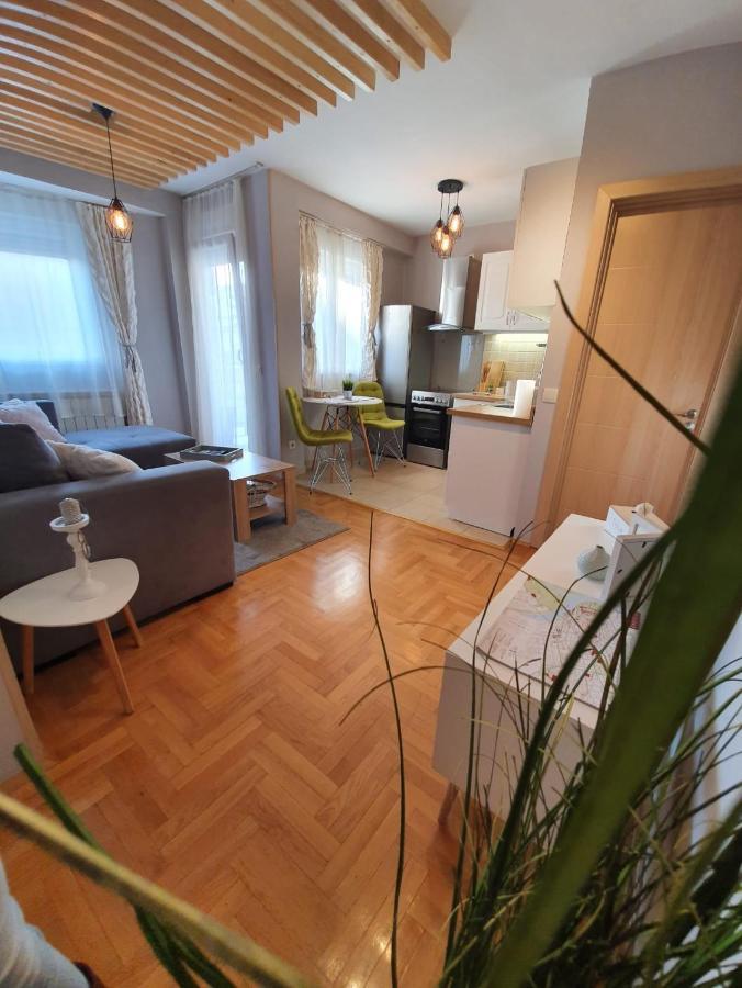 Apartment Cerska Mrb ベオグラード エクステリア 写真